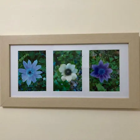 Apartment Climb2red *