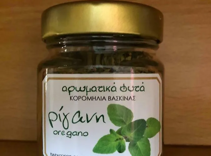 公寓 Climb2red 利昂尼迪翁